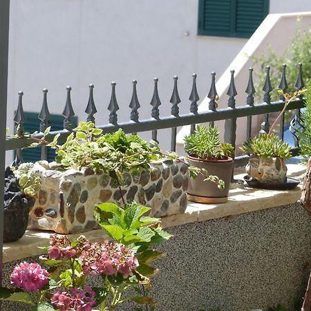 טרוגיר Apartments Marija מראה חיצוני תמונה